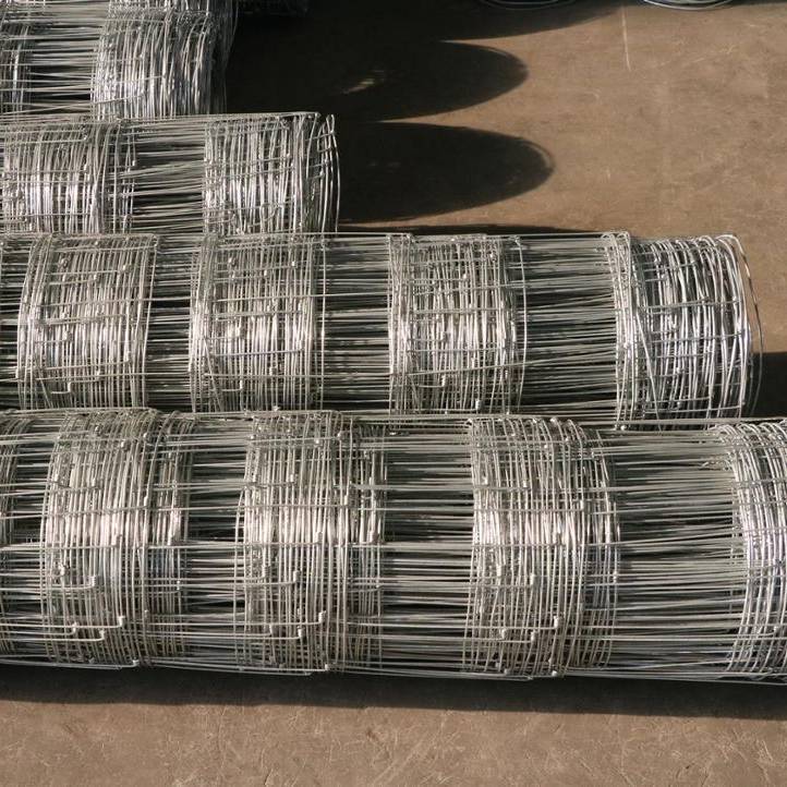 Cattle Fence Wire for Sale: Galvanized, Heavy-Duty Deals?