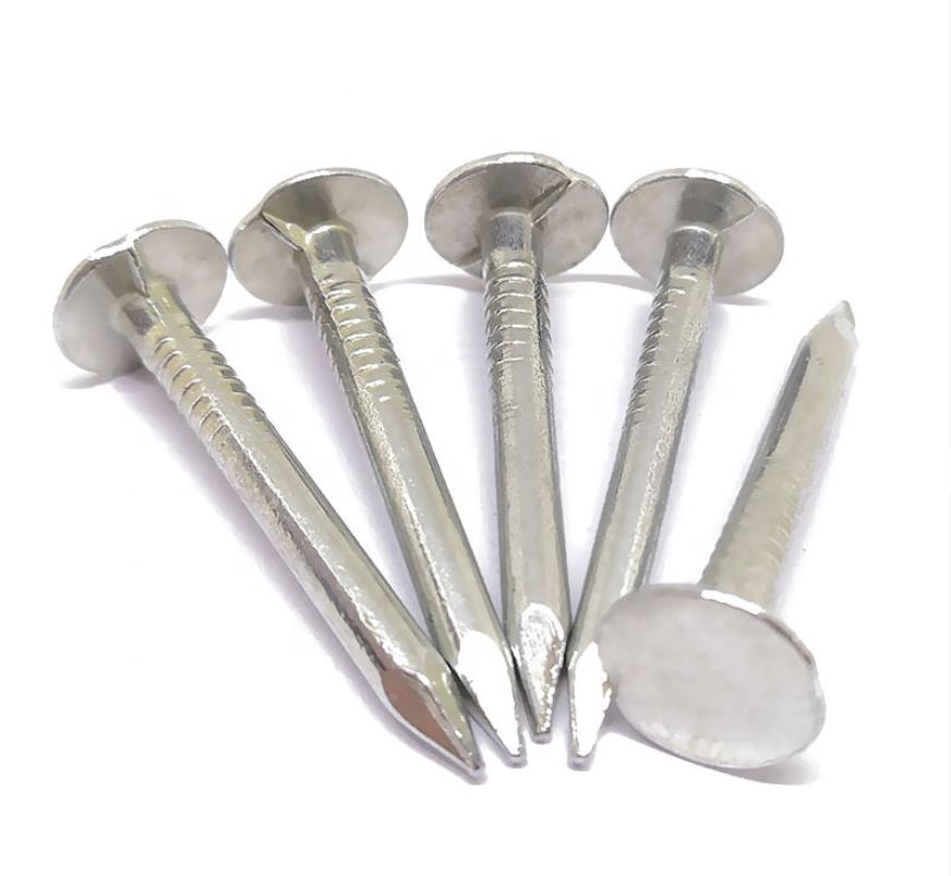 Common Types of Nails: Need Factory-Direct Bulk Quality?